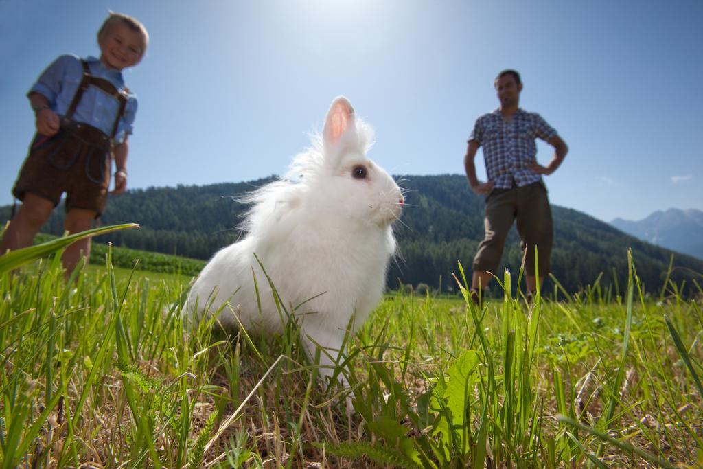 Frida Am Wald Hotell Rasùn di Sotto Exteriör bild